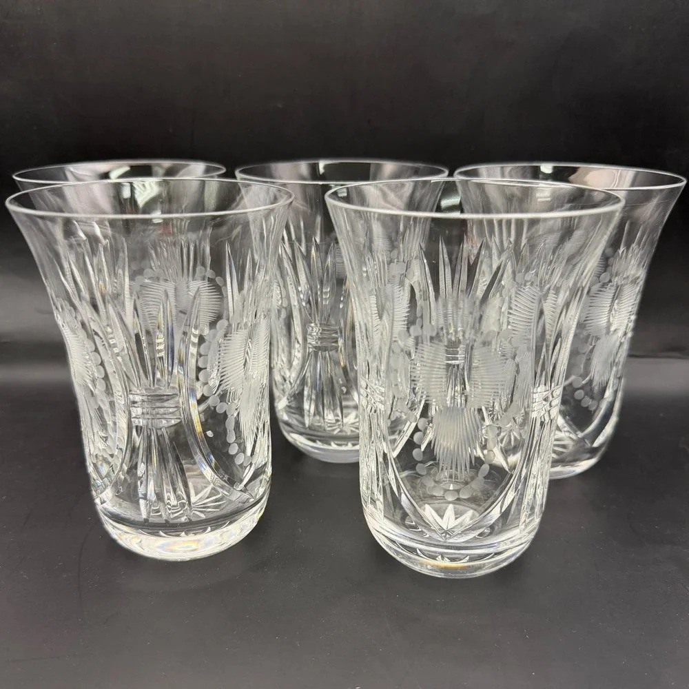 Vtg Set of 5 Crystal Bohemian‎ Cut Clear Tumbler Glasses Etched MCM Czech Glass